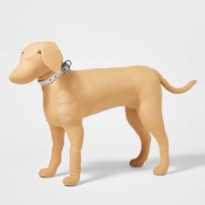 Boots & Barkley Striped Fashion Dog Collar wi...