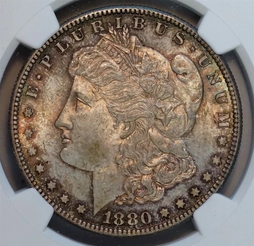 1880 S $1 US Morgan Silver Dollar Coin (NGC MS64 MS 64) COOL TONING