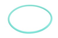 Dt Spare Parts Dichtring 6.21492 FüR Renault Trucks G Kerax Kerax Maxter Premium