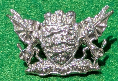 Veraltetes Polizei Halsbandabzeichen - Dorset Constabulary (3 verfügbar)