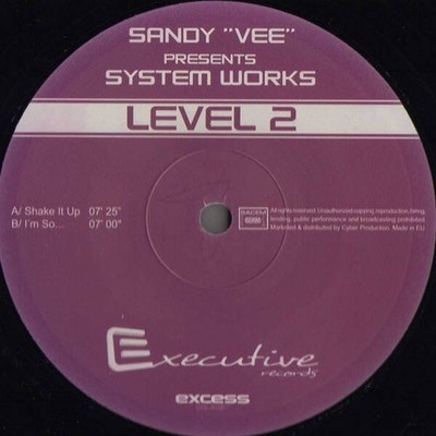Sandy Vee Presents System Works - Level 2 (VINYL)