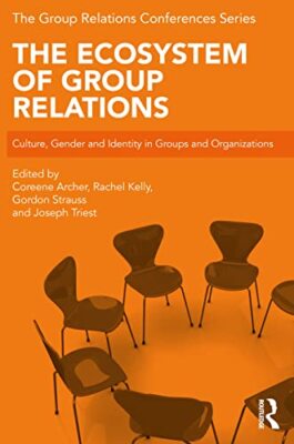Ecosystem of Group Relations   Culture Gender and Identity in Groups  - X555z