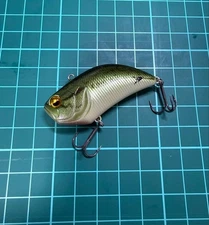 Raid Japan Level Vibe Counter