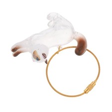 Transparent Cat Hair Storage Box Pet Hair Keepsake Keychain For Pet Memorial