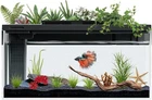 3.7 Gallon Betta Fish Tank self Cleaning Smart Aquarium Aquarium kit