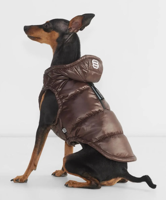 Aritzia The Super Ruff Puff (Dog Jacket) Hi-Gloss Rich Mocha Brown Size  SMALL