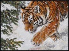 Siberian Emperor - DIY Chart Counted Cross Stitch Patterns Needlework DMC Color