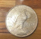 1923 P Peace Silver Dollar Ungraded Beautiful Silver Coin - Philadelphia Mint