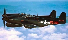 North American F82 F-82 Twin Mustang Military Desktop Wood New Model Large 1/48