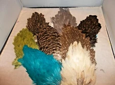 hen backs (saddles)  soft hackle natural or dyed for wet flies or crafts