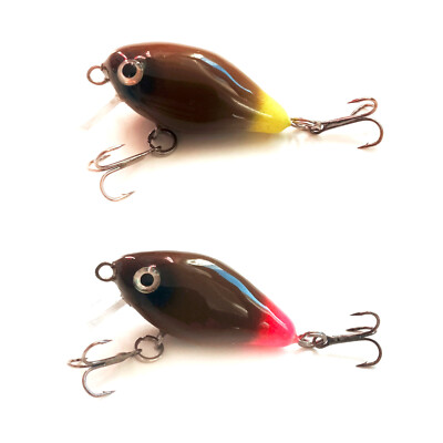 Jackall Chubby HANDMADE Crank Bait Minnow Lure Asp Chub Trout SMITH CAMION #24