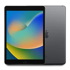 2021 Apple iPad 9 256GB WiFi Only 10.2" - (Space Gray) A2602 w/1 Year Warranty