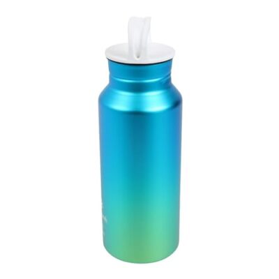 Snow Peak Aurora Bottle 800 Ocean Ocean 800ml TW-800RE-OCNEW | eBay