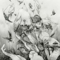 Mono The Last Dawn (Vinyl) 12\ Album"
