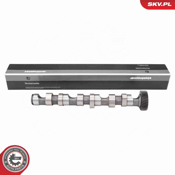 Nockenwelle Esen SKV 80SKV033 FüR VW Passat B5 Variant 3B5 3B2 3B3 3B6 TDI Audi-image