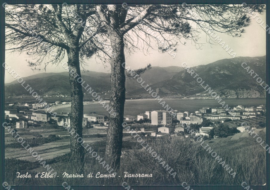 Livorno Isola d'Elba Marina di Campo Foto FG cartolina JK1848