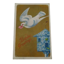 Birthday Greetings White Dove Bird Blue Flower Postcard Writing Posted 1909 USA