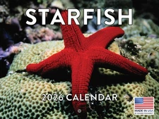 Starfish Calendar 2026 Wall Monthly