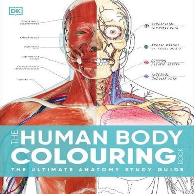 Human Body Colouring Book DK Paperback Dorling Kindersley Ltd Ana