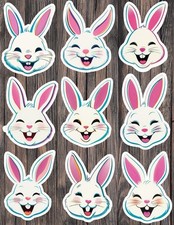 Retro Easter Bunny Face Vinyl Stickers Set Scrapbooking Laptop Waterbottle