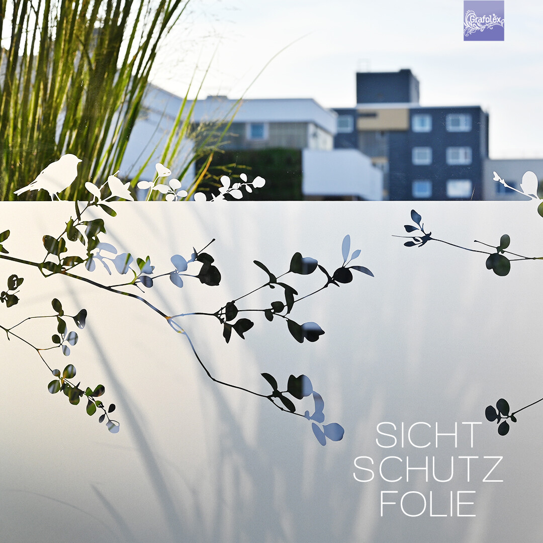 Bild 4 von 5