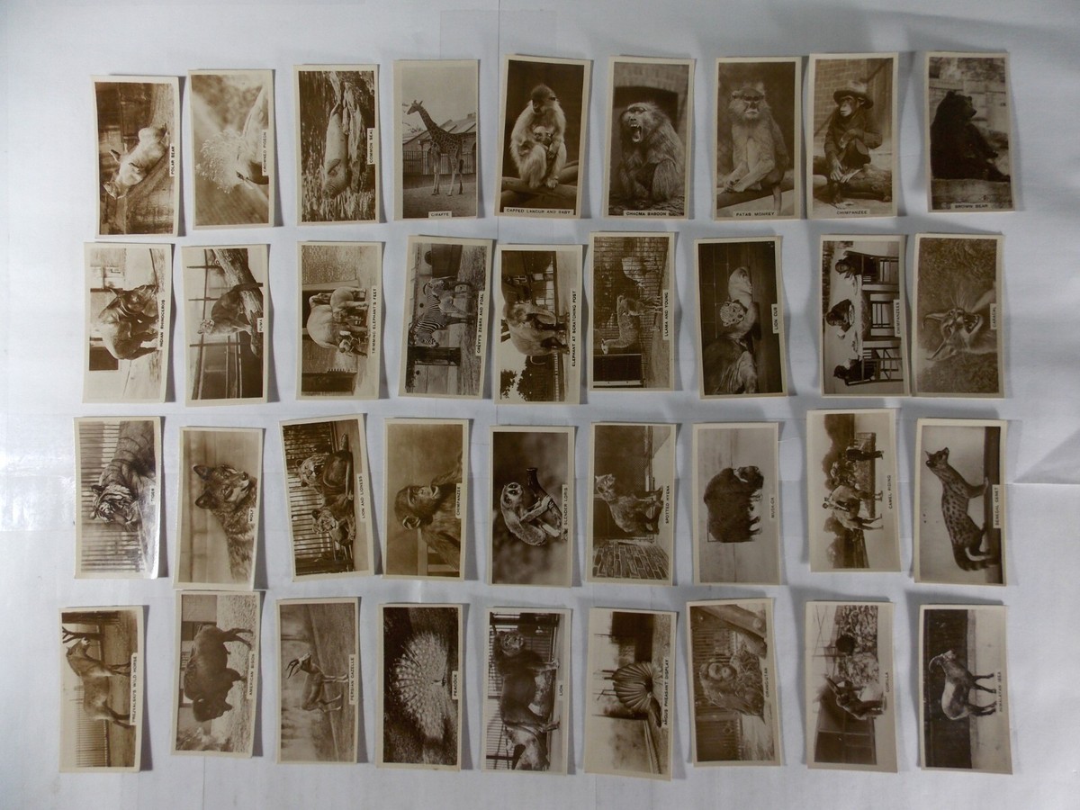 De Reszke Millhoff Cigarette Cards Zoological Studies in 1929 Complete Set  36