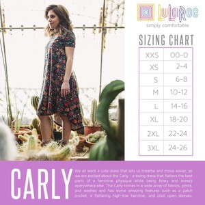 lularoe carly