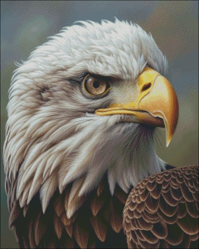 Portrait of Bald Eagle - Chart Counted Cross Stitch Patterns Needlework DMC DIY - Picture 2 of 2