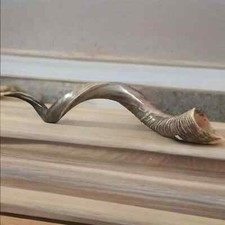 Half polished natural Judaica Kosher 60-70 cm Yemenite Kudu Shofar Horn shofar