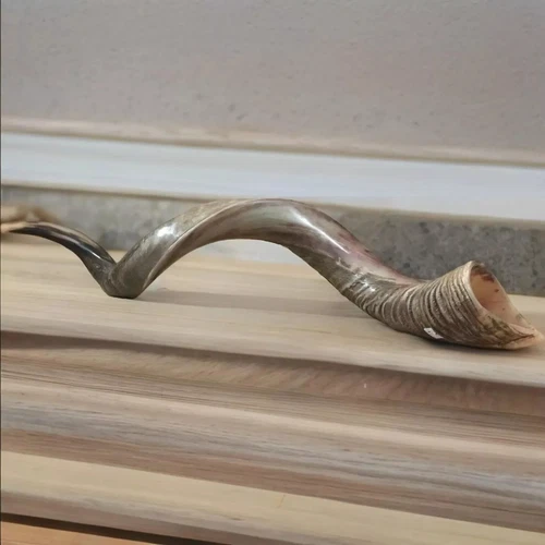 Half polished natural Judaica Kosher 60-70 cm Yemenite Kudu Shofar Horn shofar