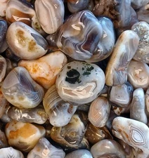 Botswana Agate rough 1-2" A+ pound lbs tumbling lapidary banding wholesale bulk