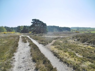 Foto 6x4 Lower Hyde Heath, Gleiskreuzung Cold Harbour\/SY9089 bei Zufahrt c2017