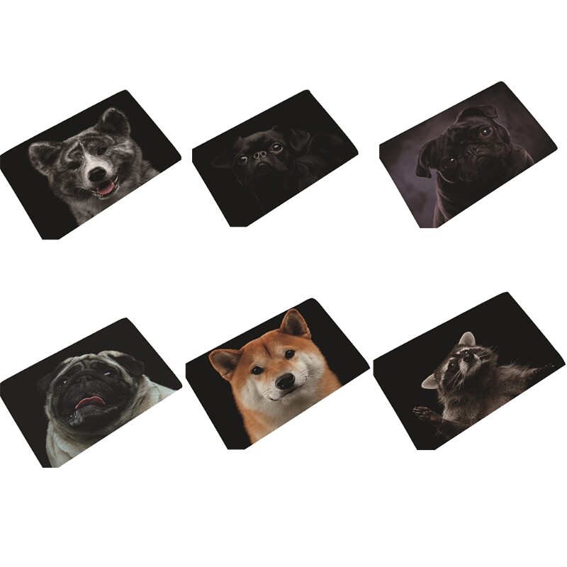 40x60cm Dog Pattern Carpet Door Mat Doormat Kitchen Floor Mat Rug