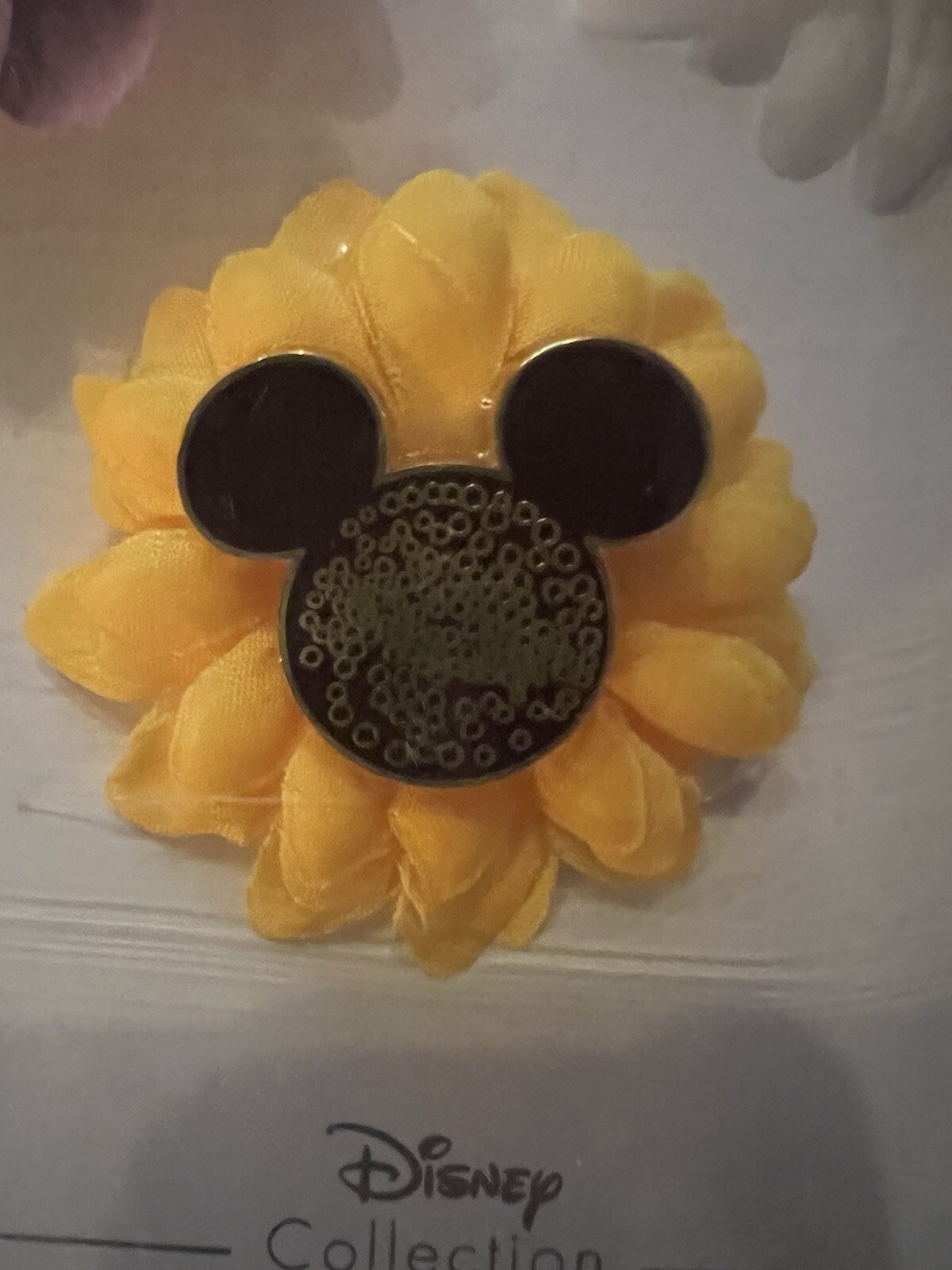 Picture 4 of 6