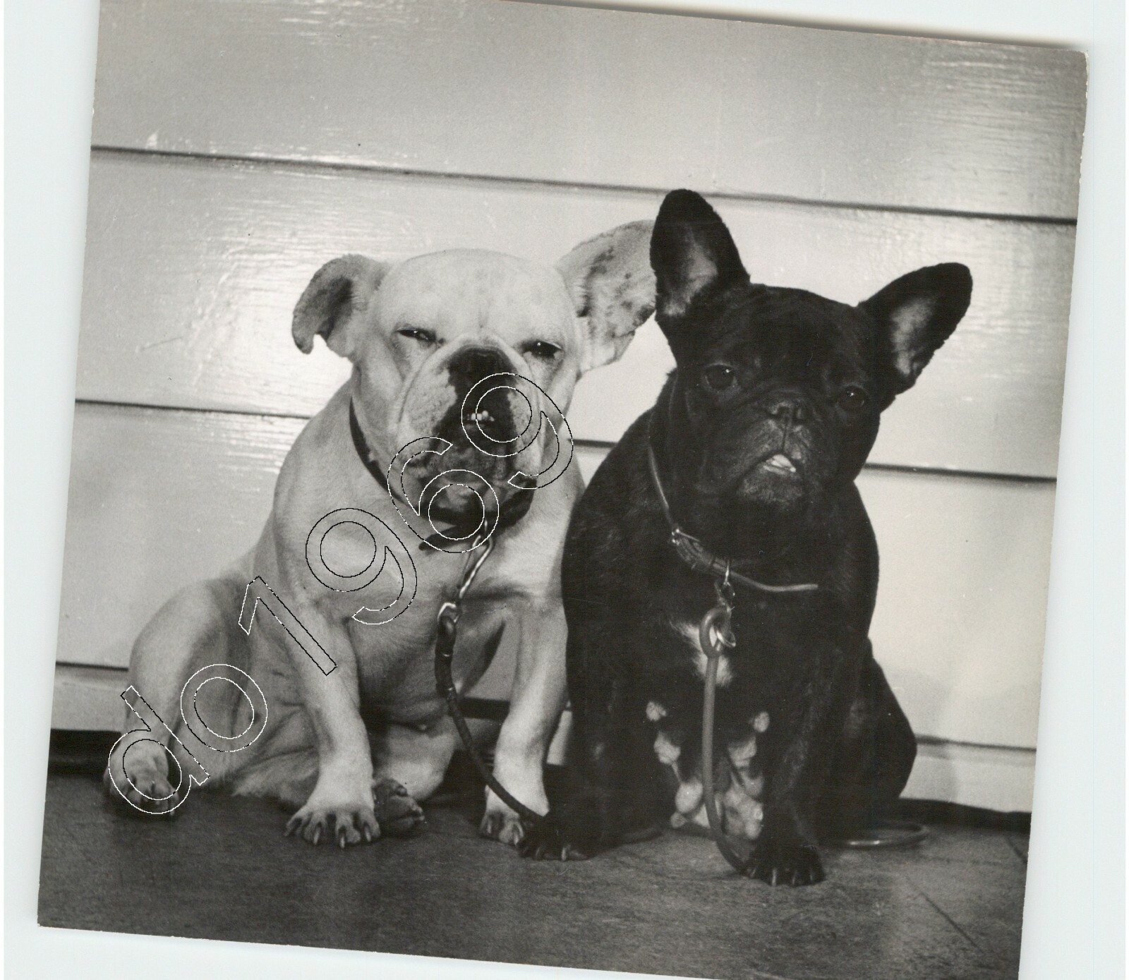 Photo Pix
