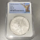 2022 Mexican Silver Libertad 1 oz — photo from another recent sale