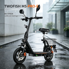 TWOFISH M5PRO Neu HOT 48V13AH Mit Straßenzulassung 12" Elektroroller …