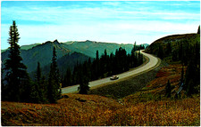 Heart Of The Hills Road to Hurricane Ridge Olympic National Park WA Postcard