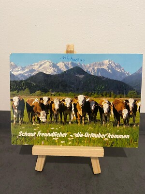 Postcard ''Look Friendlier - The Holidaymakers Are Coming'', Cows, Pasture, Mountains, 1986