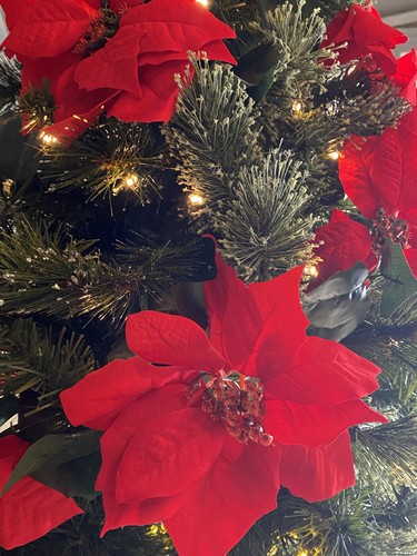 Poinsettia 1.5m Red Green Christmas Tree Garland Decoration - Picture 2 of 2