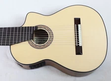 NEW Cathedral 110CEL 10-String Classical Harp Guitar Spruce w/Cutaway Sound Port