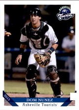 2015 Asheville Tourists Grandstand #19 Dom Nunez Elk Grove California CA Card