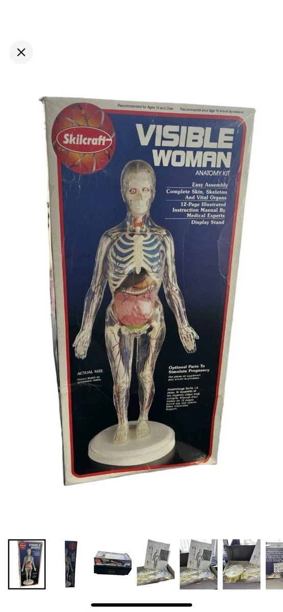 visible woman products for sale | eBay