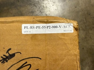 FSP PL R1 PE 55 P2 000 V ACE Cartridge Filter NEW (4 Pack)