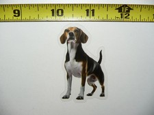 BEAGLE DOG SMALL STICKER DECAL PET COLORFUL BEST FRIEND FUNNY