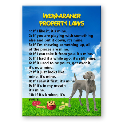 WEIMARANER Property Laws FRIDGE MAGNET Steel Cased DOG