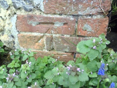Photo 6x4 Benchmark on #1 Forest Row Oakley Court Ordnance Survey cut mar c2011