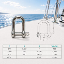 T316 Stainless Steel D Shackle Hex Screw Pin Marine Boat Rigging Anchor