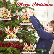 Personalized Reindeer Christmas Ornaments 2025, DIY Family Christmas Elk Deer Or