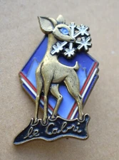 Insigne, broche médaille ski ESF " Le cabri " fabrication Beraudy, vintage